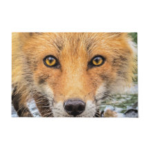Red Fox Face - Ogen