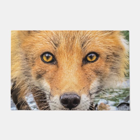 Red Fox Face - Ogen Deurmat (Voorkant)