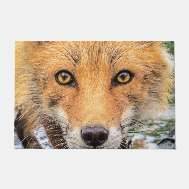 Red Fox Face - Ogen Deurmat (Voorkant)