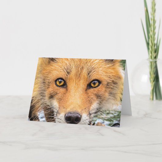 Red Fox Face - Ogen Kaart (Voorkant)