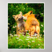 Red Fox Family Wildlife Tender Nature Art Print (Voorkant)