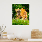Red Fox Family Wildlife Tender Nature Art Print (Keuken)