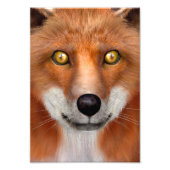 Red Fox Foto Afdruk (Voorkant)