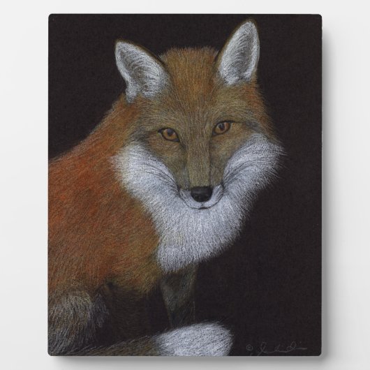 Red Fox Fotoplaat (Voorkant)