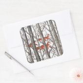 Red Fox Foxes Woodland Forest Grey Black Sticker (Envelop)