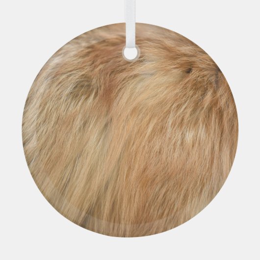 Red Fox Fur Pattern Tegel Glas Ornament (Voorkant)