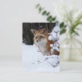 Red Fox in de sneeuw Briefkaart (Staand voorkant)