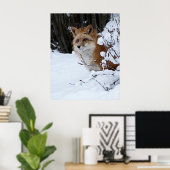 Red Fox in de sneeuw Poster (Thuiskantoor)