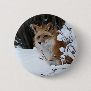 Red Fox in de sneeuw Ronde Button 5,7 Cm