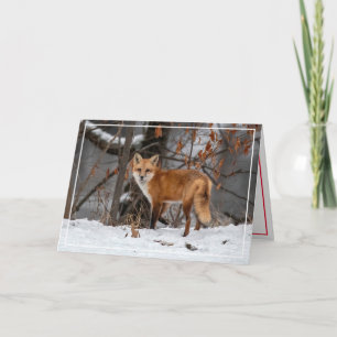 Red Fox in de Snow Holiday Kaart