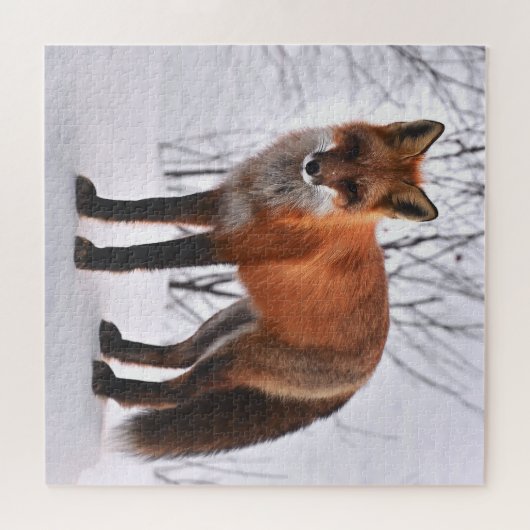 Red Fox in de winter Legpuzzel (Horizontaal)
