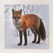 Red Fox in de winter Legpuzzel (Verticaal)