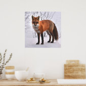 Red Fox in de winter Poster (Keuken)