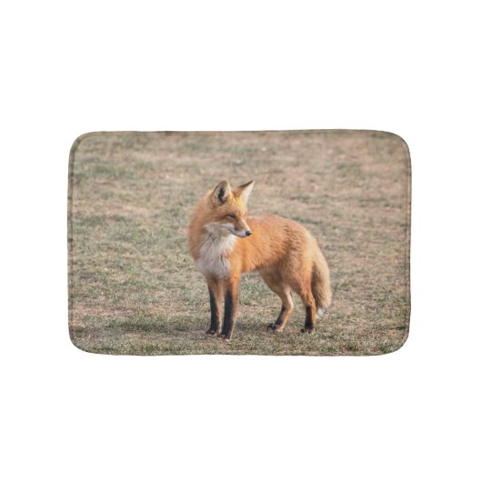 Red Fox in een veld Badmat (Voorkant)
