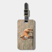 Red Fox in een veld Bagagelabel (Voorkant verticaal)