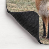 Red Fox in een veld Muismat (Hoek)