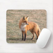 Red Fox in een veld Muismat (Met muis)