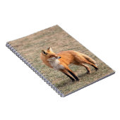 Red Fox in een veld Notitieboek (Rechterzijde)
