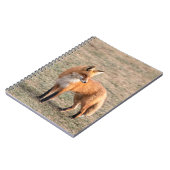Red Fox in een veld Notitieboek (Linkerzijde)