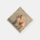 Red Fox in een veld Servet (Hoek)