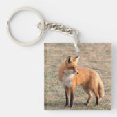 Red Fox in een veld Sleutelhanger (Voorkant)