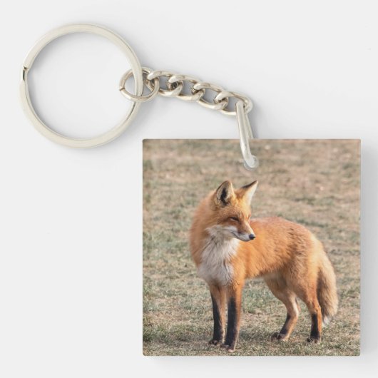 Red Fox in een veld Sleutelhanger (Voorkant)