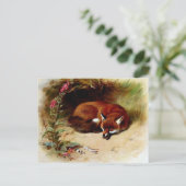 Red Fox in Front of Her Den Briefkaart (Staand voorkant)