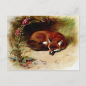 Red Fox in Front of Her Den Briefkaart (Voorkant)