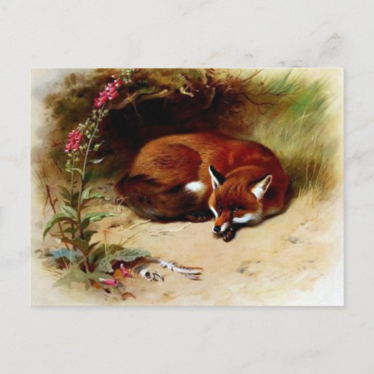 Red Fox in Front of Her Den Briefkaart (Voorkant)