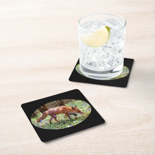 Red Fox in het Bluebells Onderzetter (Insitu)