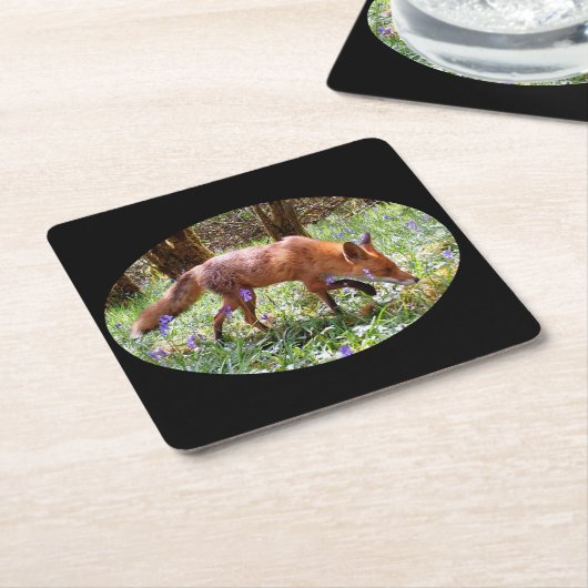 Red Fox in het Bluebells Onderzetter (Schuin)