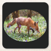 Red Fox in het Bluebells Onderzetter (Voorkant)