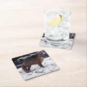 Red Fox in het Onderzetter Snow (Insitu)