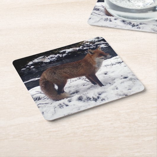 Red Fox in het Onderzetter Snow (Schuin)