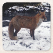 Red Fox in het Onderzetter Snow (Voorkant)
