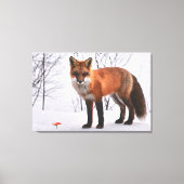Red Fox in sneeuw Canvas Afdruk (Voorkant)
