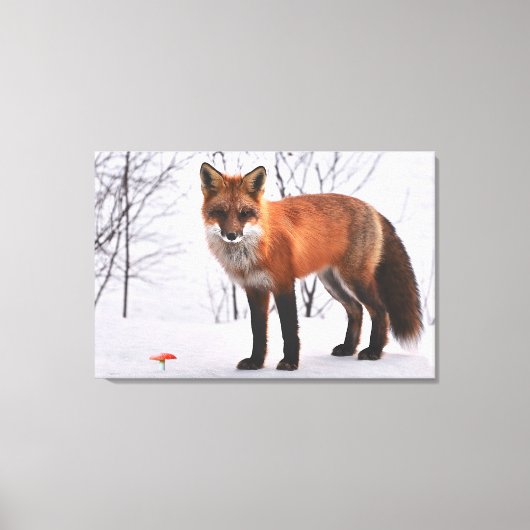 Red Fox in sneeuw Canvas Afdruk (Voorkant)