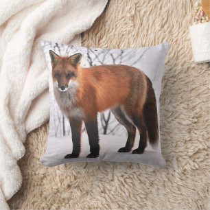 Red Fox in sneeuw Kussen