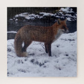Red Fox in Sneeuw puzzel (Verticaal)