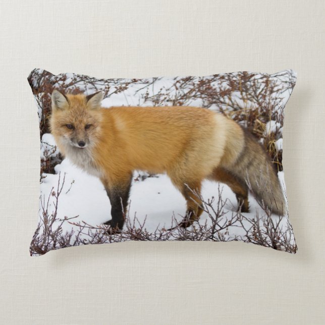 Red Fox in snow in winter Decoratief Kussen (Voorkant)