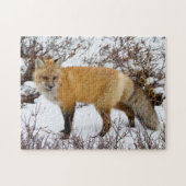 Red Fox in snow in winter Legpuzzel (Horizontaal)