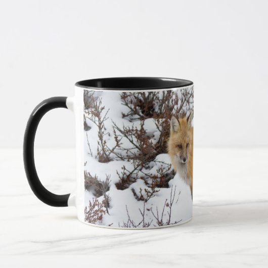 Red Fox in snow in winter Mok (Links)