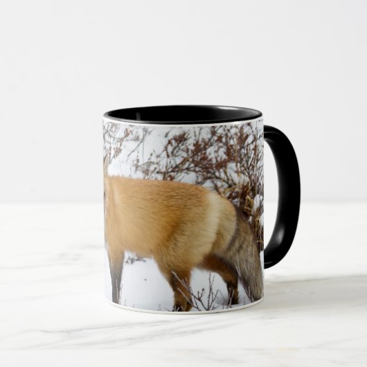 Red Fox in snow in winter Mok (Voorkant rechts)