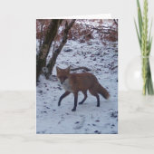 Red Fox in Snow Wenskaart Eigen Tekst toevoegen Kaart (Voorkant)