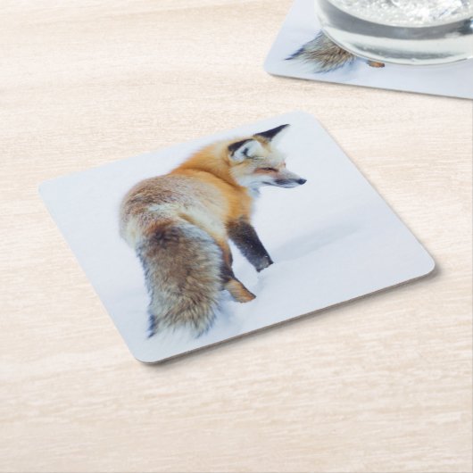 Red Fox in Winter Kartonnen Onderzetters (Schuin)