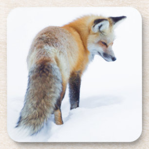 Red Fox in Winter Onderzetter