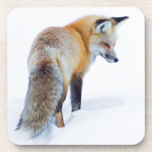 Red Fox in Winter Onderzetter (Voorkant)