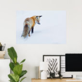 Red Fox in Winter Poster (Thuiskantoor)