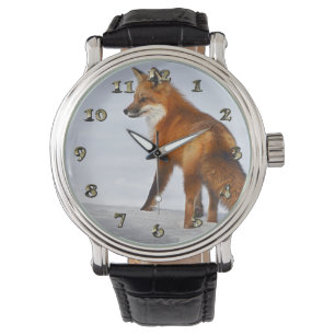 Red Fox in Winter Snow Horloge