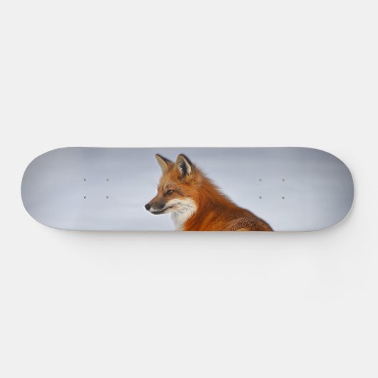 Red Fox in Winter Snow Persoonlijk Skateboard (Horizontaal)